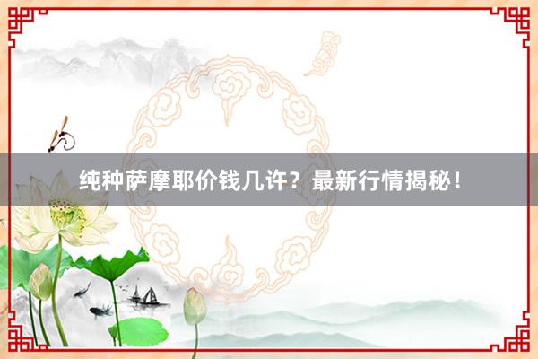 纯种萨摩耶价钱几许？最新行情揭秘！